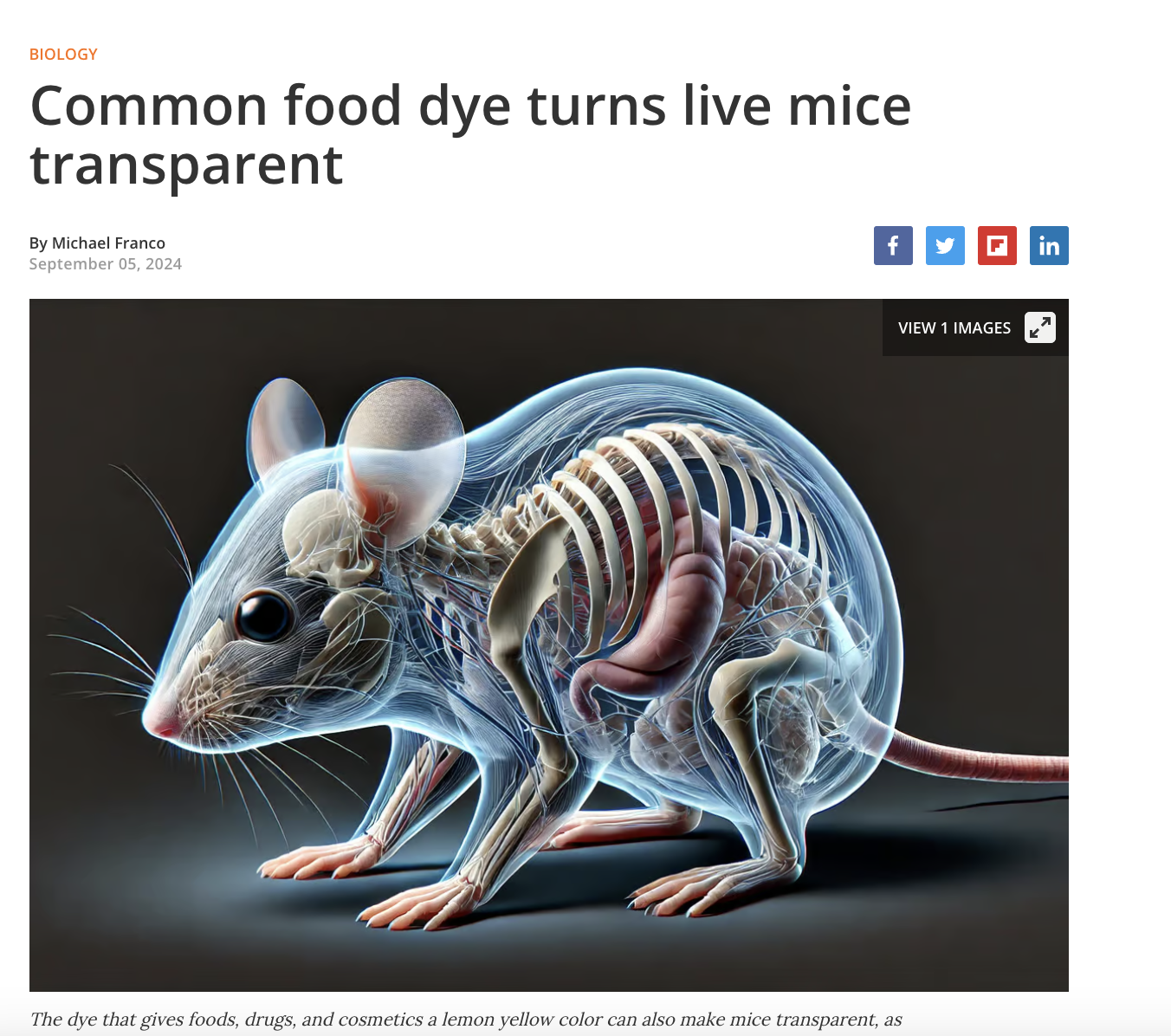 Food coloring - Biology Common food dye turns live mice transparent By Michael Franco The dye that gives foods, drugs, and cosmetics a lemon yellow color can also make mice transparent, as View 1 Images in